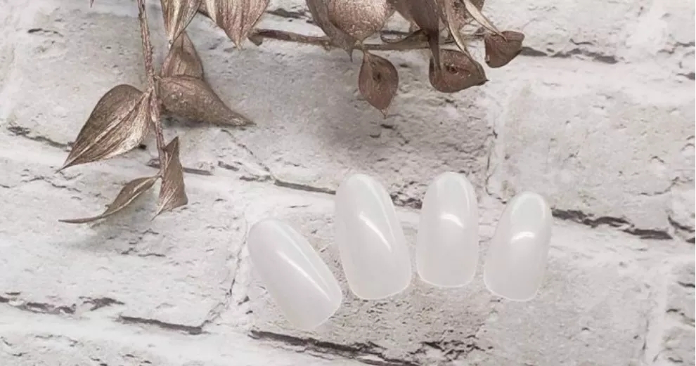 1632796921758400.jpg 1.webp.jpg